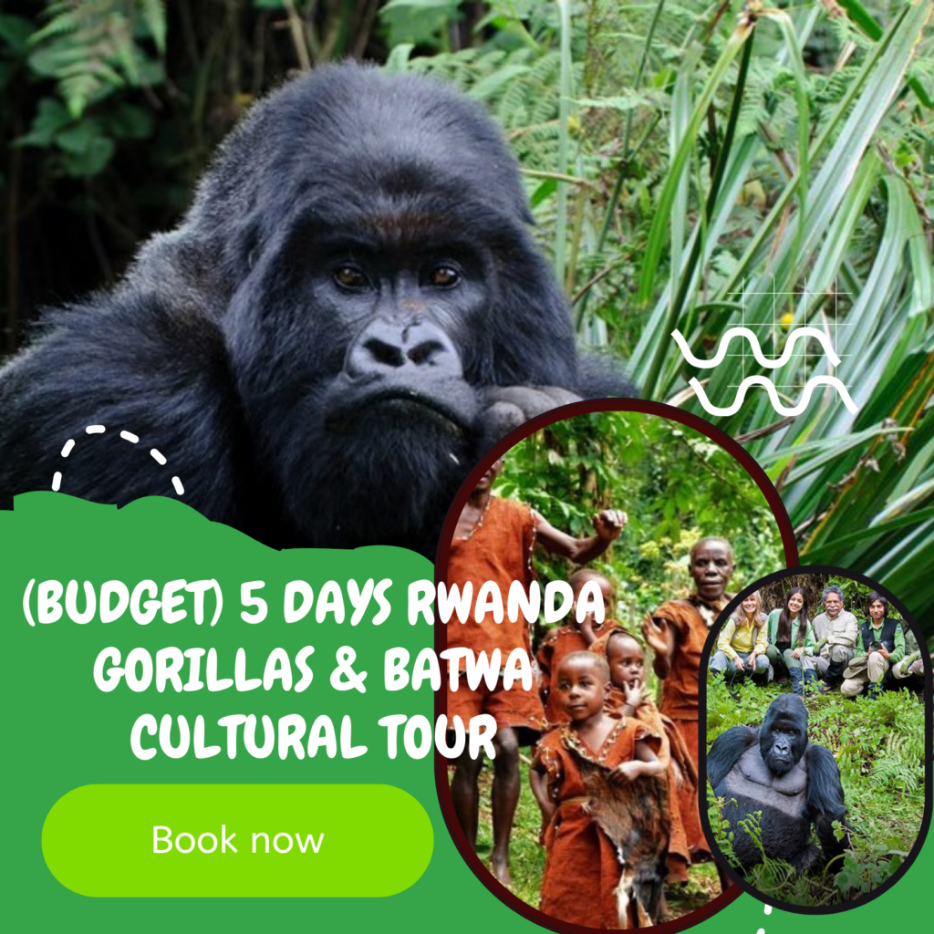 (Budget) 5 Days Rwanda Gorillas & Batwa Cultural Tour