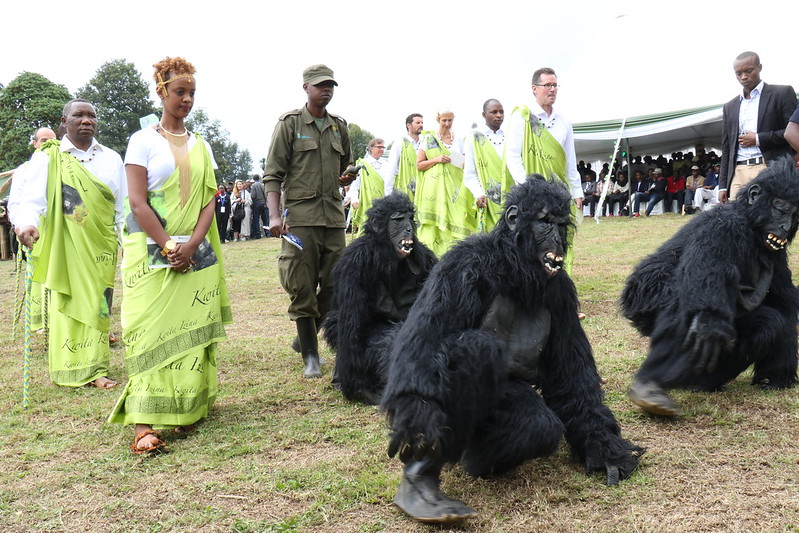Kwita Izina Gorilla ceremony