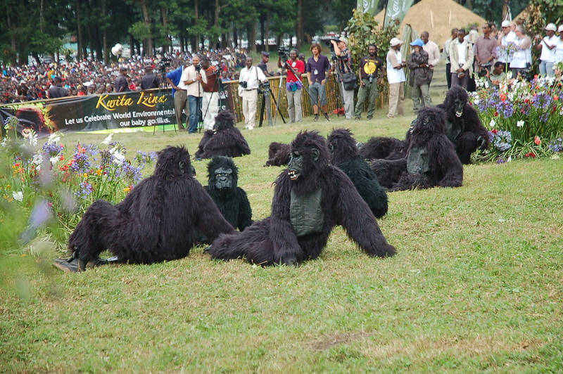 Kwita Izina Gorilla ceremony