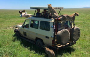 3 days  budget  safari tour to serengeti and  Ngorongoro crater