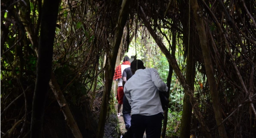 Buhanga Eco Park
